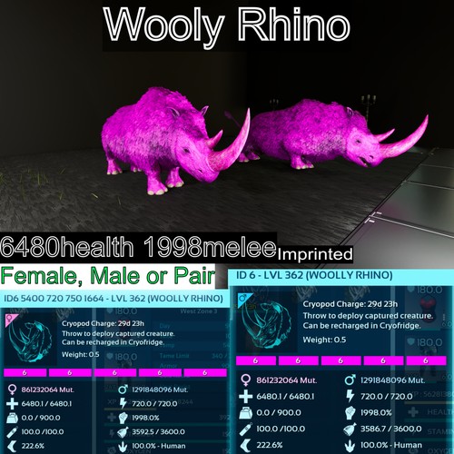 Rhinoceronte lana max livello - lana,