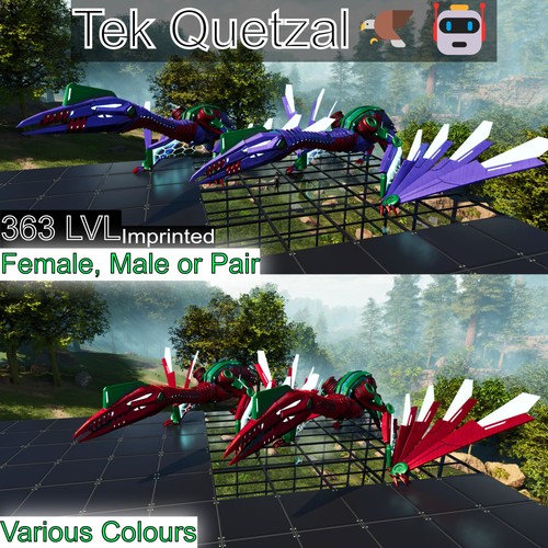 Tek quetzal livello 363 - 363, asa