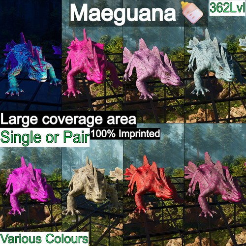 Maeguana max livello 362 - maeguana,