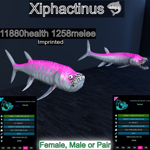 Xiphactinus livello max - max, 362