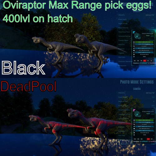 Oviraptor livello 400 - oviraptor, asa