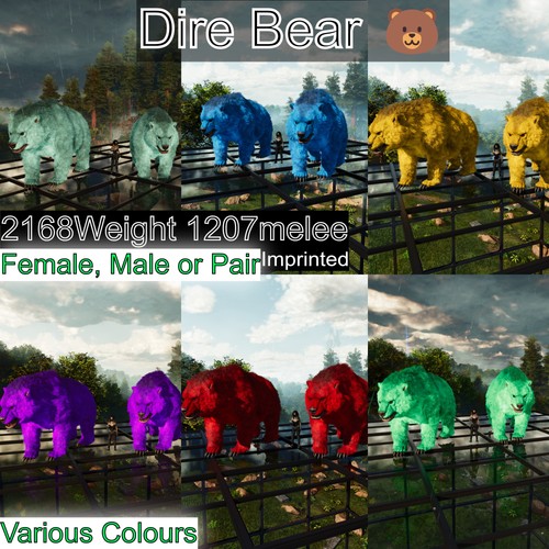 Dire bear max livello - livello, asa
